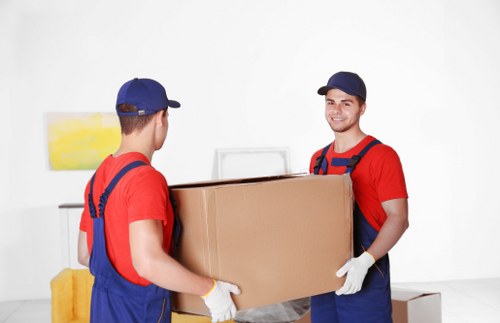 Carefully labeled boxes and packing supplies for moving home